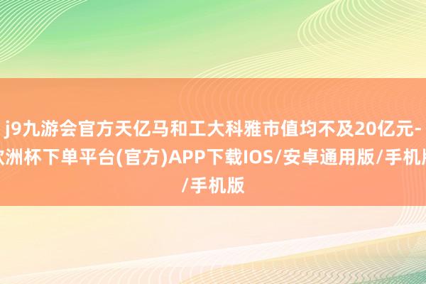 j9九游会官方天亿马和工大科雅市值均不及20亿元-欧洲杯下单平台(官方)APP下载IOS/安卓通用版/手机版