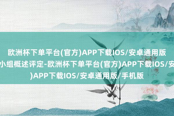 欧洲杯下单平台(官方)APP下载IOS/安卓通用版/手机版历程采购小组概述评定-欧洲杯下单平台(官方)APP下载IOS/安卓通用版/手机版