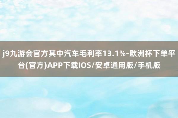 j9九游会官方其中汽车毛利率13.1%-欧洲杯下单平台(官方)APP下载IOS/安卓通用版/手机版