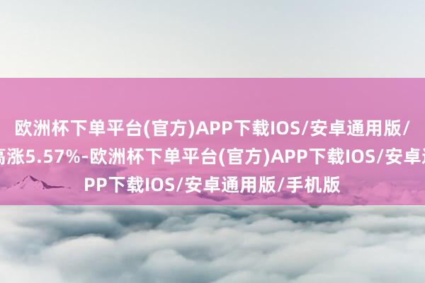 欧洲杯下单平台(官方)APP下载IOS/安卓通用版/手机版近1年高涨5.57%-欧洲杯下单平台(官方)APP下载IOS/安卓通用版/手机版