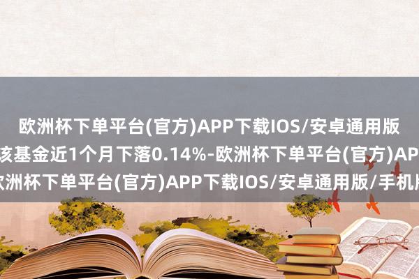 欧洲杯下单平台(官方)APP下载IOS/安卓通用版/手机版历史数据领略该基金近1个月下落0.14%-欧洲杯下单平台(官方)APP下载IOS/安卓通用版/手机版