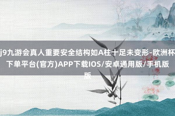 j9九游会真人重要安全结构如A柱十足未变形-欧洲杯下单平台(官方)APP下载IOS/安卓通用版/手机版