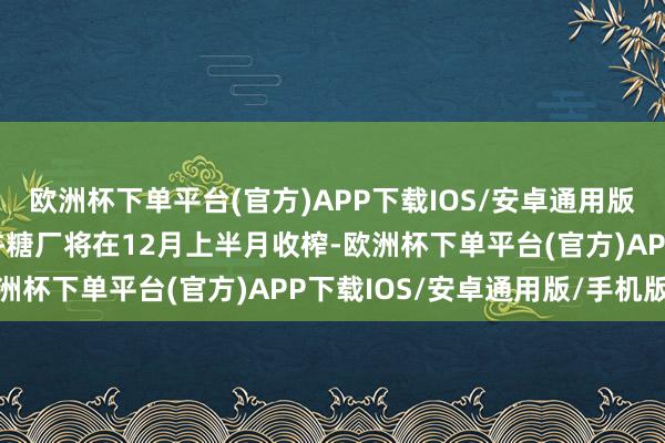 欧洲杯下单平台(官方)APP下载IOS/安卓通用版/手机版不错细则有几许糖厂将在12月上半月收榨-欧洲杯下单平台(官方)APP下载IOS/安卓通用版/手机版