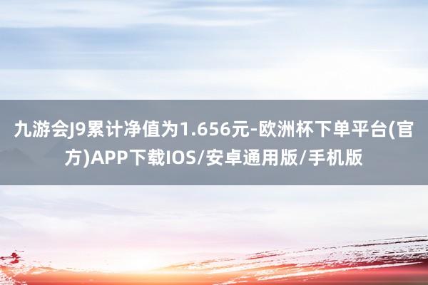 九游会J9累计净值为1.656元-欧洲杯下单平台(官方)APP下载IOS/安卓通用版/手机版